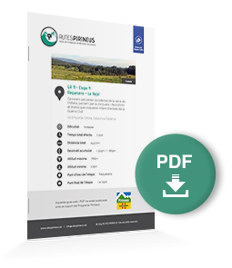 pdf-ruta