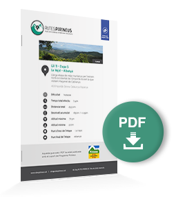 pdf-ruta
