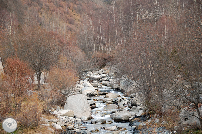 GR 11 - Etapa 09: Setcases - Santuario de Nuria 1 