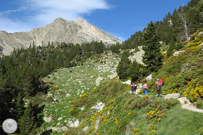 GR 11 - Etapa 09: Setcases - Santuario de Nuria 1 