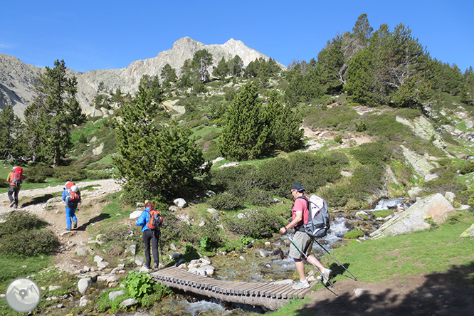 GR 11 - Etapa 09: Setcases - Santuario de Nuria 1 