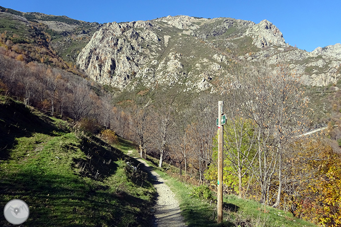 GR 11 - Etapa 10: Santuario de Nuria - Planoles 1 