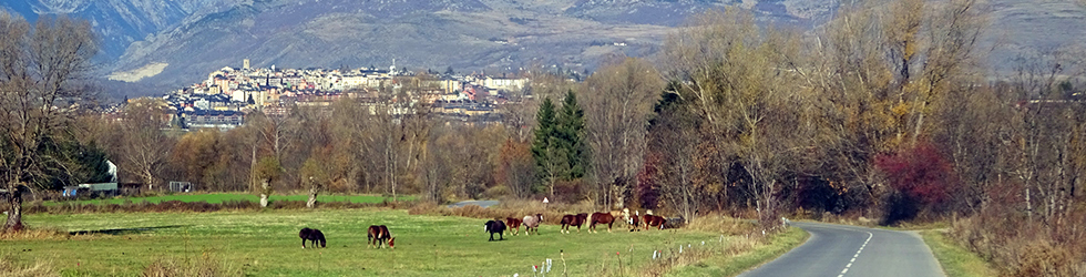 GR 11 - Etapa 11: Planoles - Puigcerdá