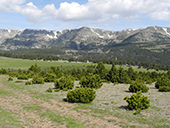 GR 11 - Etapa 12: PuigcerdÃ¡ - Refugio de Malniu