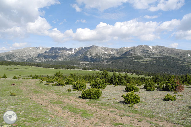 GR 11 - Etapa 12: Puigcerdá - Refugio de Malniu 1 