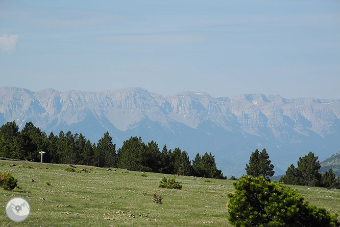 GR 11 - Etapa 12: Puigcerdá - Refugio de Malniu 1 