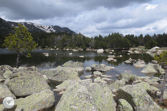 GR 11 - Etapa 12: Puigcerdá - Refugio de Malniu 1 