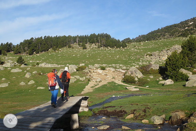 GR 11 - Etapa 13: Refugio de Malniu - Refugio del Illa 1 