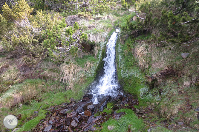 GR 11 - Etapa 13: Refugio de Malniu - Refugio del Illa 1 