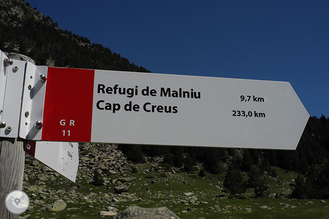 GR 11 - Etapa 13: Refugio de Malniu - Refugio del Illa 1 