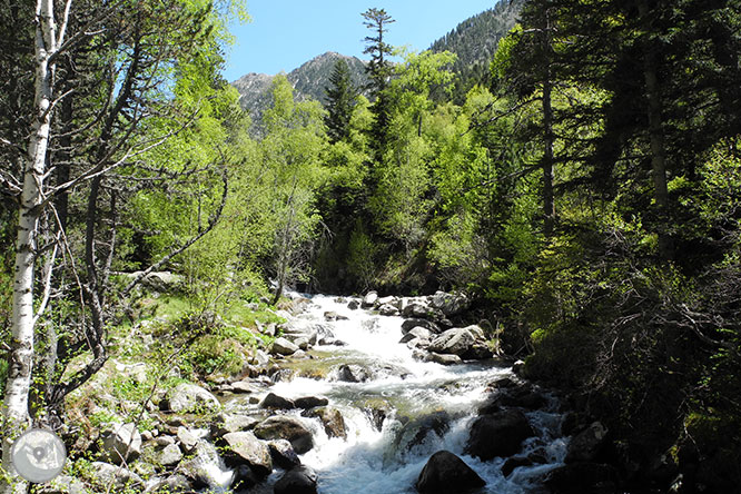 GR 11 - Etapa 14: Refugio de l