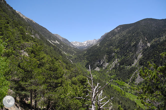 GR 11 - Etapa 14: Refugio de l