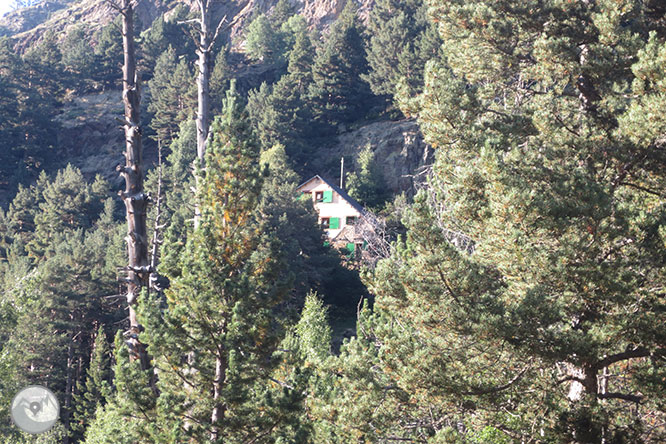 GR 11 - Etapa 17: Refugio de Baiau - Àreu 1 