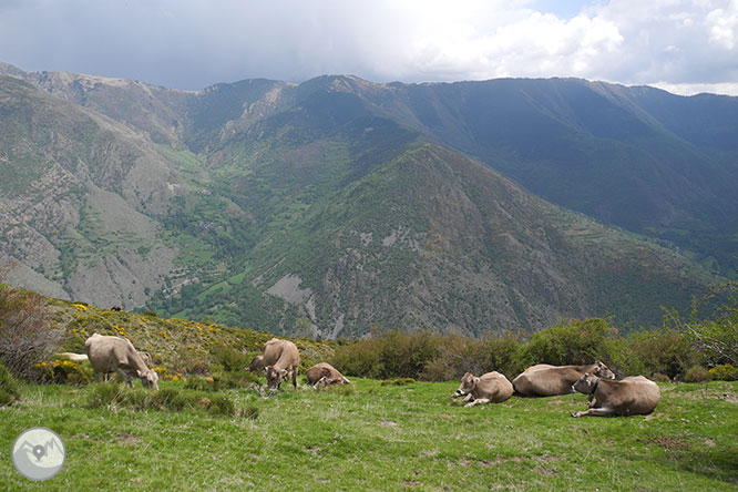 GR 11 - Etapa 19: Tavascan - Estaon 1 