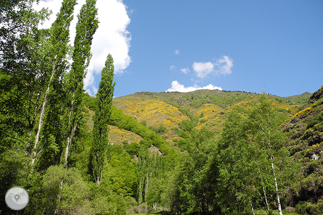 GR 11 - Etapa 19: Tavascan - Estaon 1 