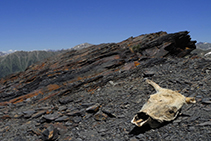 La cima del pico Negre.