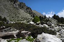 Zona de rocas camino del lago de la Nou.