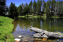 Aguas cristalinas en el lago de la Nou.