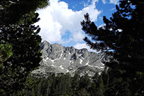 Pico de Serramitjana (2.523m) desde el bosque.