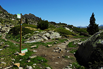 Descartamos algún camino a la izquierda. Nosotros bajamos siguiendo los lagos.