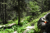 Sendero hacia las Bordes d´Envalira.