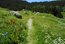 Bajando hacia las Bordes d´Envalira.