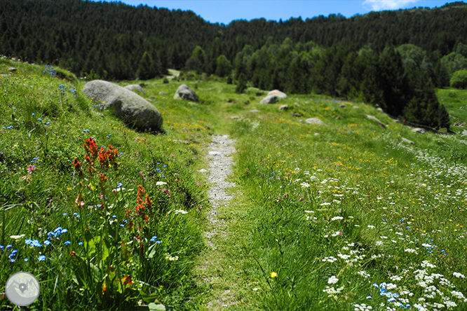 GRP - Etapa 3: Refugio de l