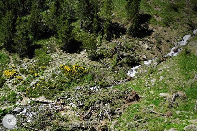 GRP - Etapa 5: Refugio de Juclà - Refugio Borda de Sorteny 1 