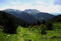 Dejamos el bosque atrás y entramos en el dominio de los prados alpinos.