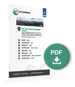 pdf-ruta