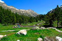 Prados alpinos rodeados de pino negro y al fondo la cresta que limita con el Valle de Arán.