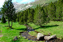 El arroyo que desciende de los ibones de Villamuerta.