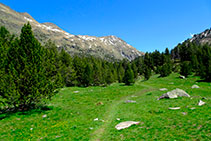 Prados alpinos y cresta divisoria con el Valle de Arán.