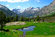 Laguna colmatada de sedimentos. Al fondo el macizo de Perdiguero.