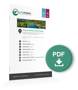 pdf-ruta