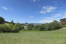 Campos de cultivo.