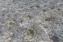 Detalle del estrato arenoso del Yacimiento arqueológico de la Posa.