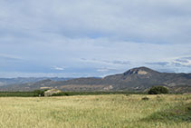 Vistas a los campos de alrededor. 