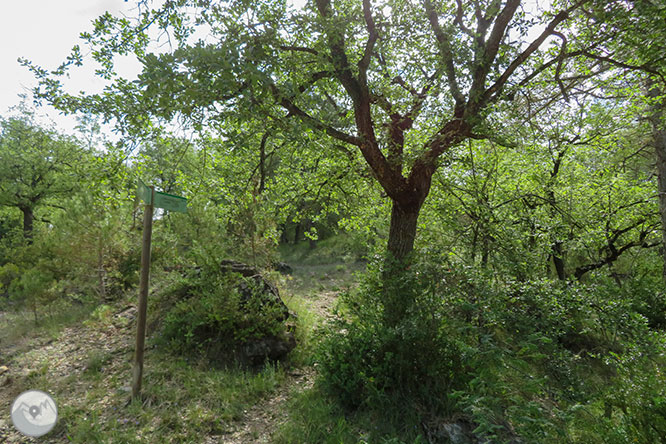 La ermita de la Posa, el Parque Cretácico y las fortificaciones del Frente del Pallars desde Isona 1 