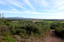 Maquias en el Montpedrós.