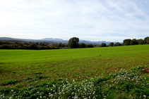 Sembrados en el Montpedrós con la Alta Garrotxa y el Pirineo al fondo.