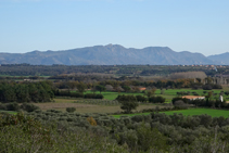 Sierra de la Albera desde el Montpedrós.