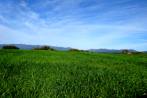 Campos de cereales cerca de Peralada.