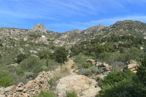 Avanzamos por un terreno rocoso.