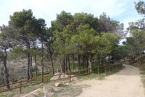 Llegamos al área de recreo del Mas Ventós.