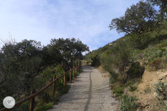 Itinerario circular de Palau-saverdera a Sant Onofre 1 