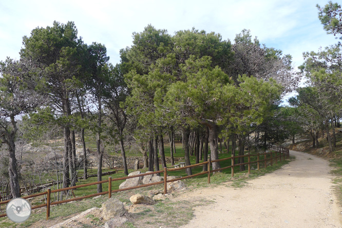 Itinerario circular de Palau-saverdera a Sant Onofre 1 