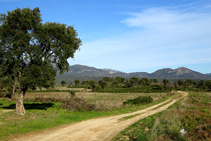 Vistas de la Albera.