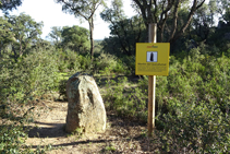 Menhir del Querafumat II.