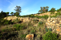 Bancales de piedra seca.